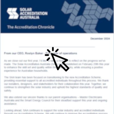 SAA Newsletter - December 2024