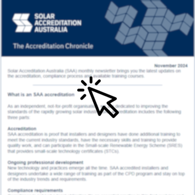 SAA Newsletter - November 2024